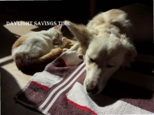 Daylight Savings ~